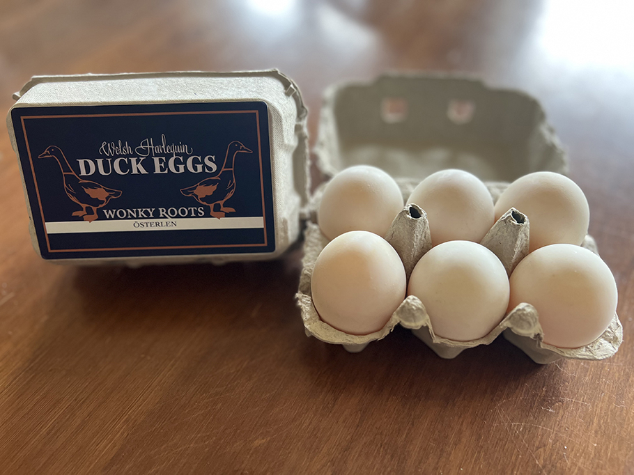 Duck eggs